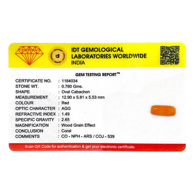 Red Coral - 3.8 Carat