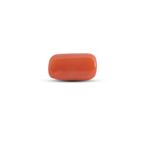 Red Coral - 3.9 Carat
