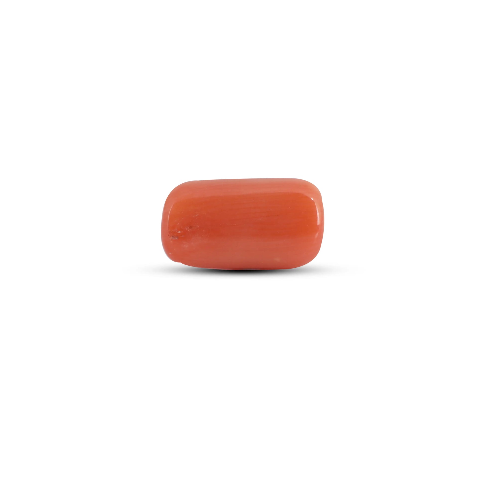 Red Coral - 3.9 Carat