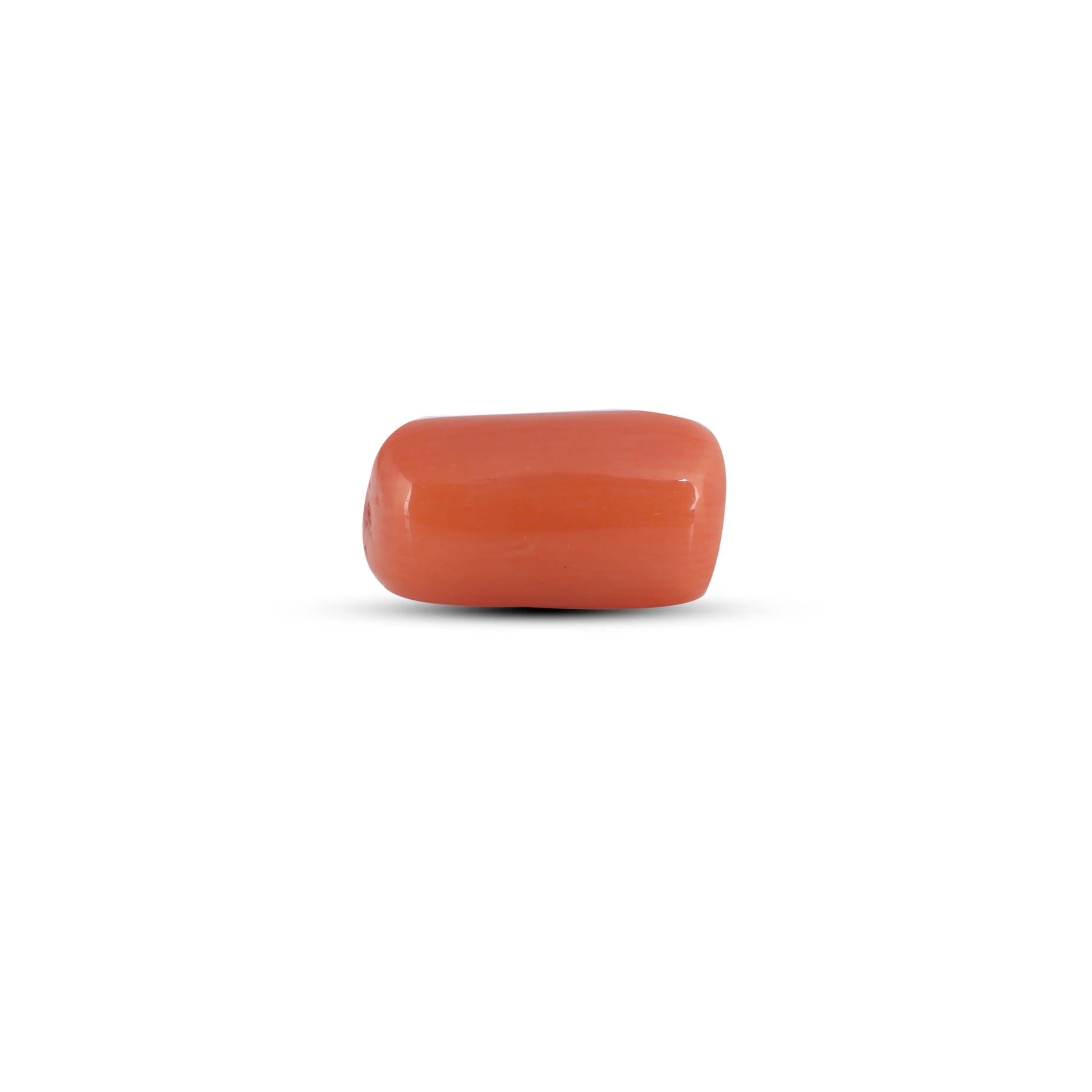 Red Coral - 3.9 Carat