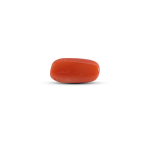 Red Coral - 3.8 Carat
