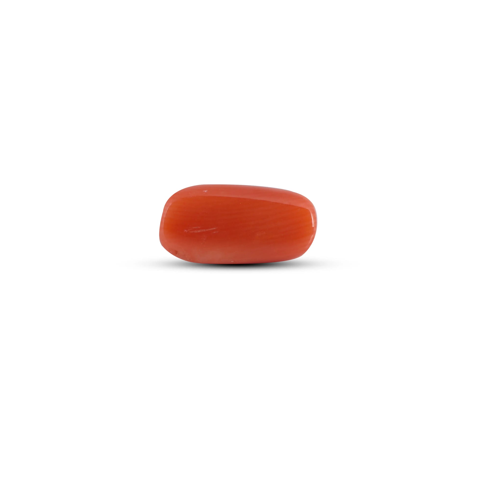 Red Coral - 3.8 Carat