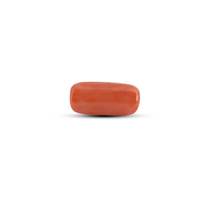 Red Coral - 3.85 Carat