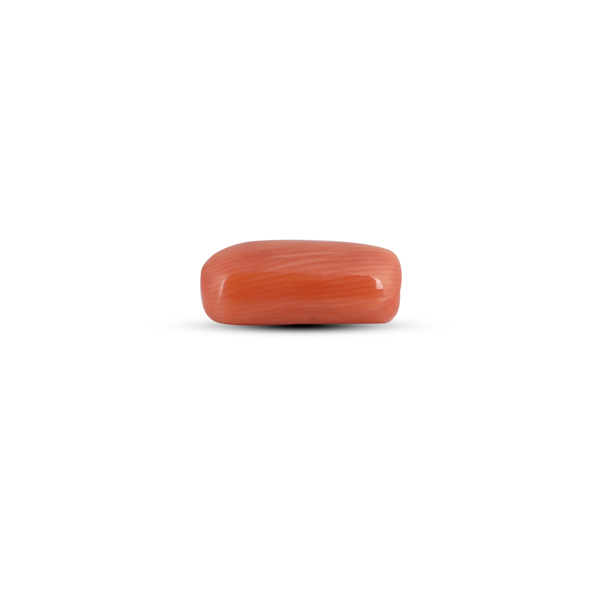Red Coral - 3.85 Carat