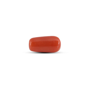 Red Coral - 3.72 Carat