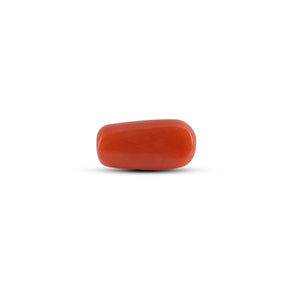 Red Coral - 3.72 Carat
