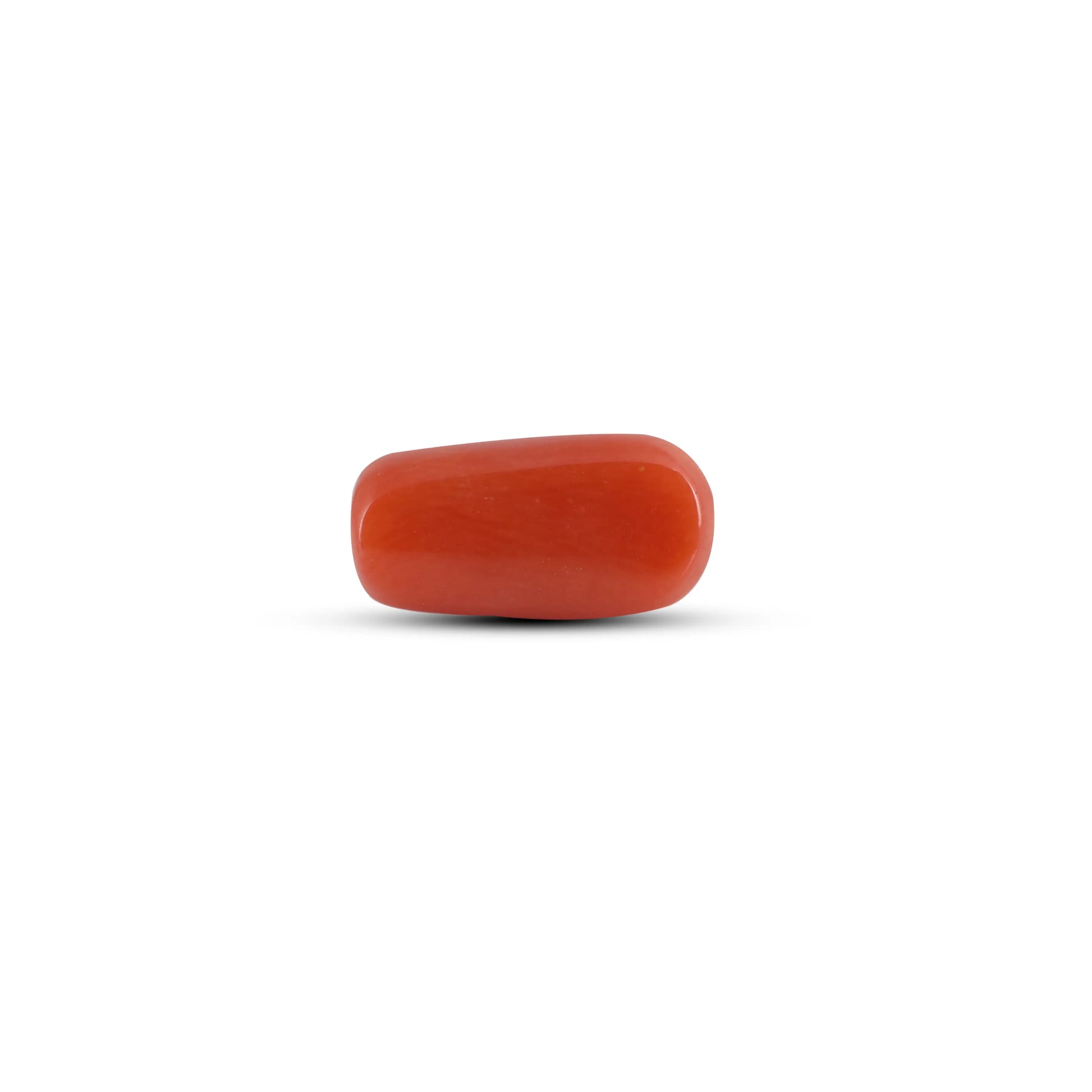 Red Coral - 3.72 Carat