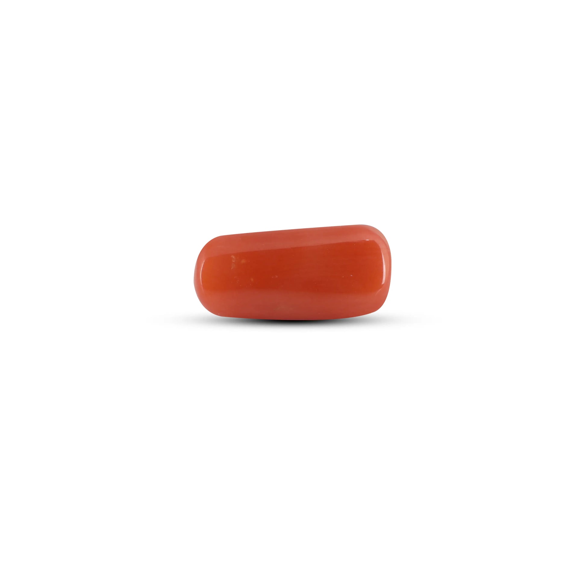 Red Coral - 3.6 Carat