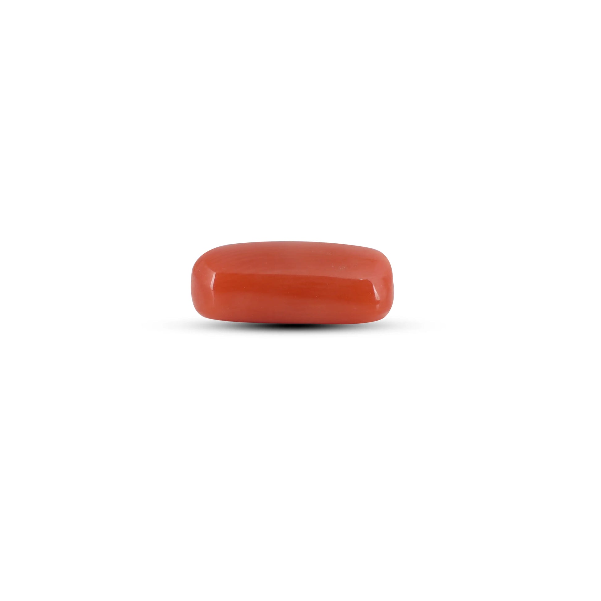 Red Coral - 3.6 Carat