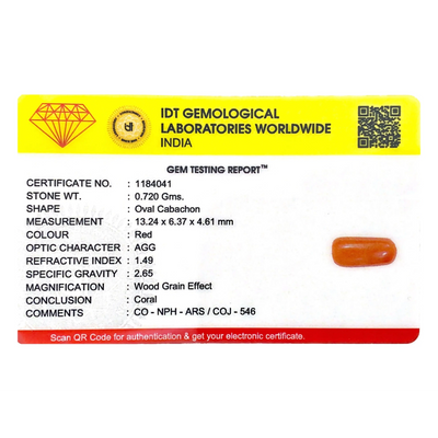 Red Coral - 3.6 Carat