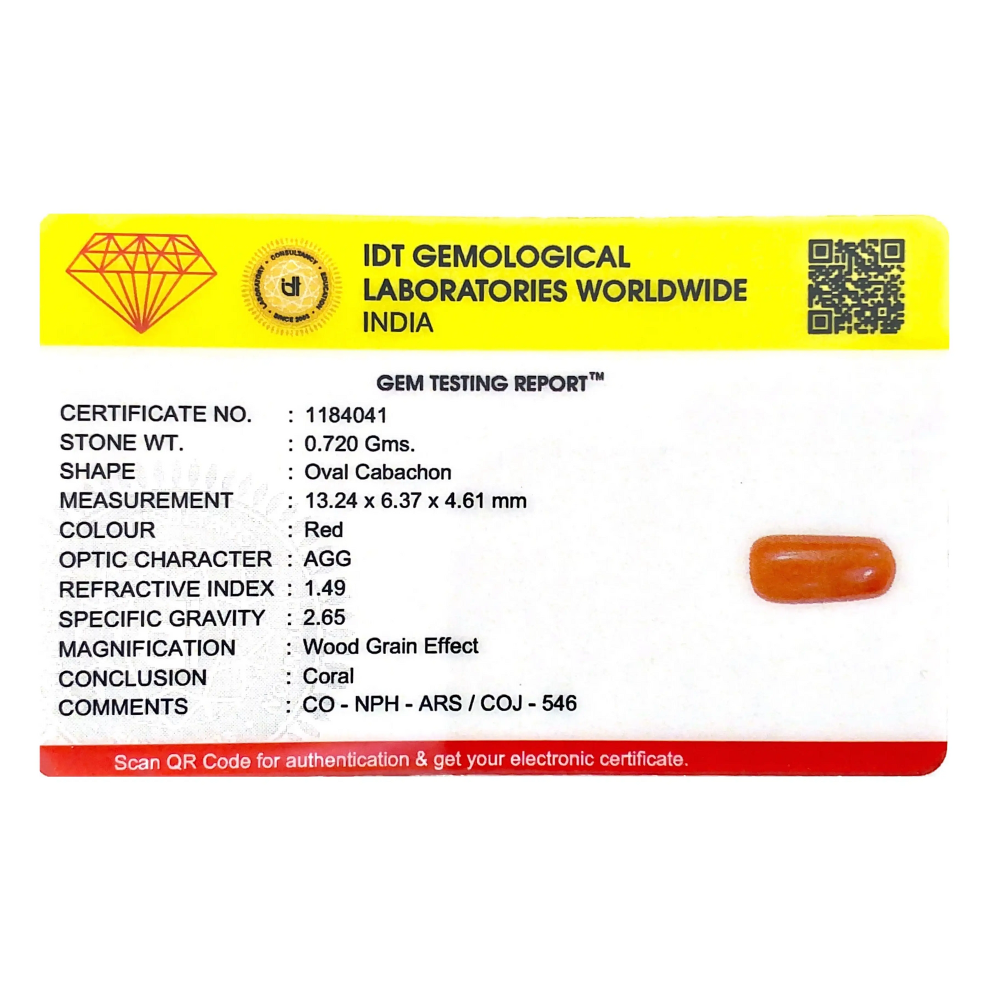 Red Coral - 3.6 Carat