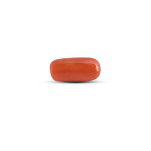 Red Coral - 3.65 Carat