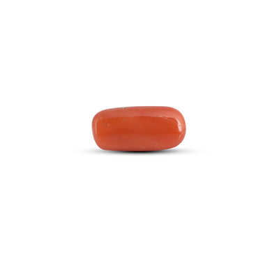 Red Coral - 3.65 Carat