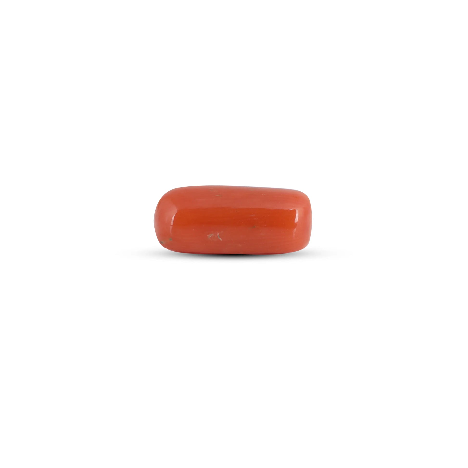 Red Coral - 3.65 Carat