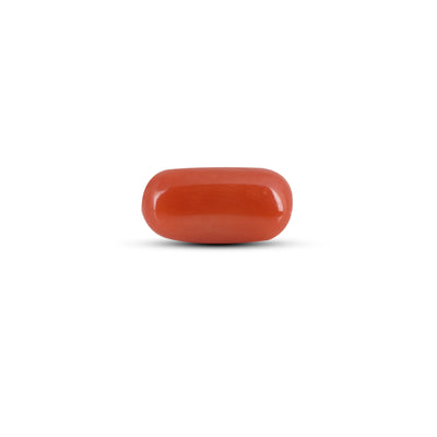 Red Coral - 4.35 Carat