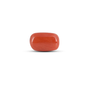 Red Coral - 2.83 Carat