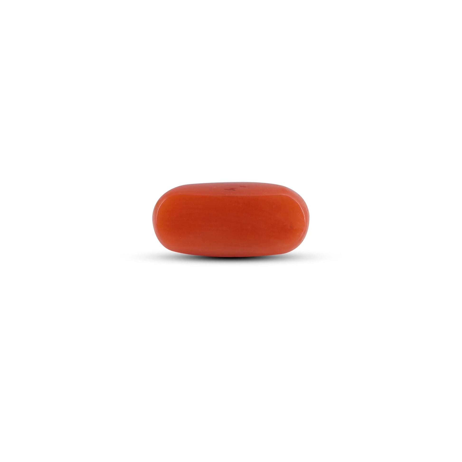 Red Coral - 2.7 Carat