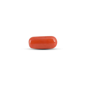 Red Coral - 4.12 Carat