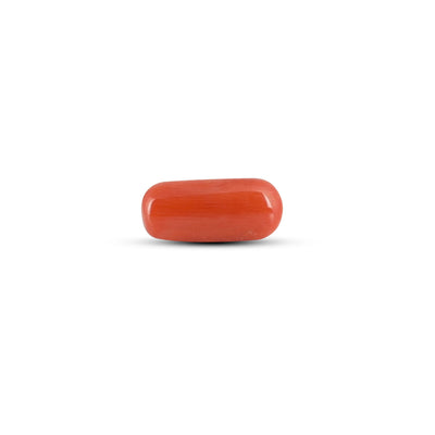 Red Coral - 4.12 Carat