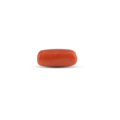 Red Coral - 4.12 Carat
