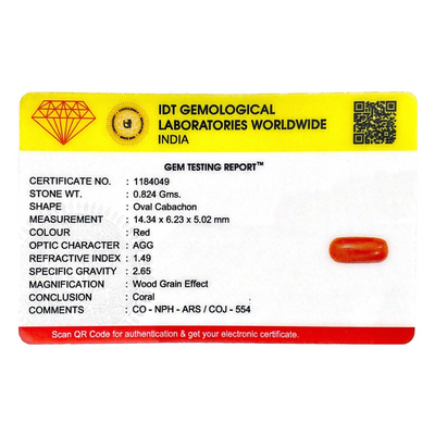 Red Coral - 4.12 Carat