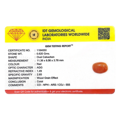 Red Coral - 3.1 Carat