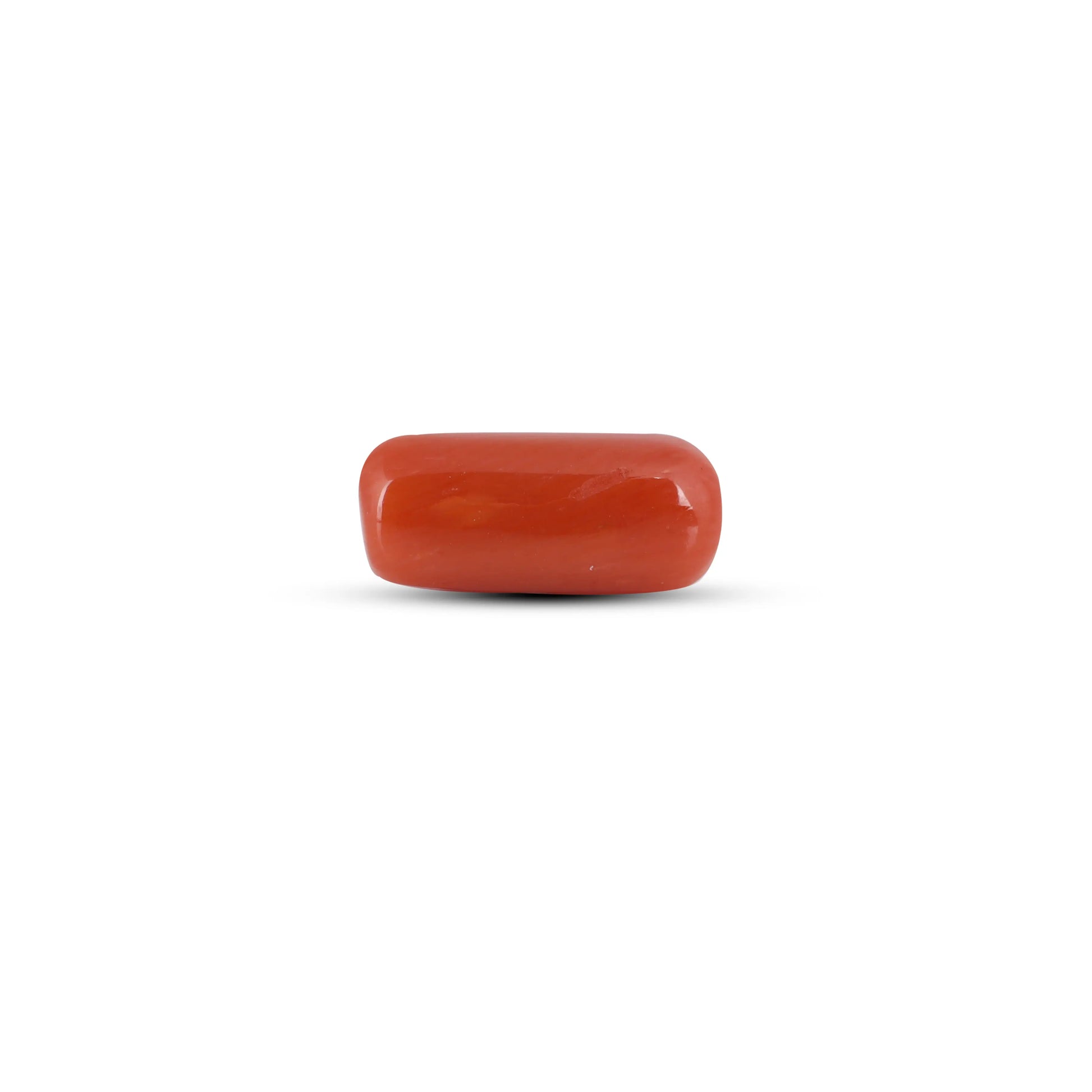 Red Coral - 3.4 Carat