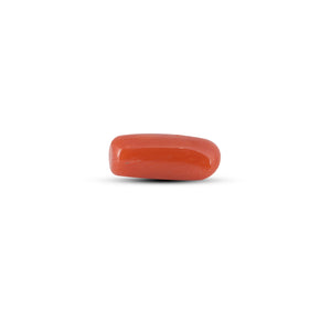 Red Coral - 3.4 Carat