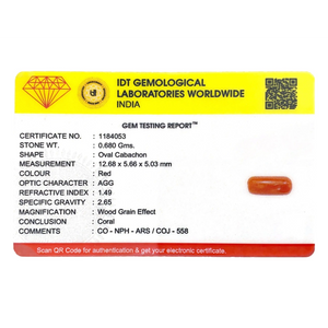 Red Coral - 3.4 Carat