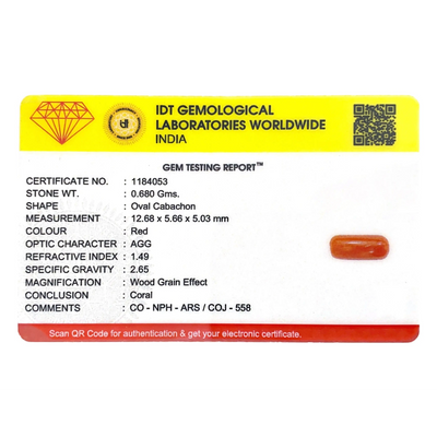 Red Coral - 3.4 Carat