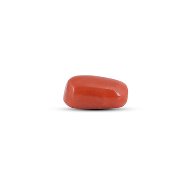 Red Coral - 3.45 Carat