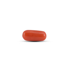 Red Coral - 2.25 Carat
