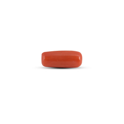 Red Coral - 3.75 Carat