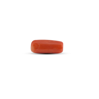 Red Coral - 3.75 Carat