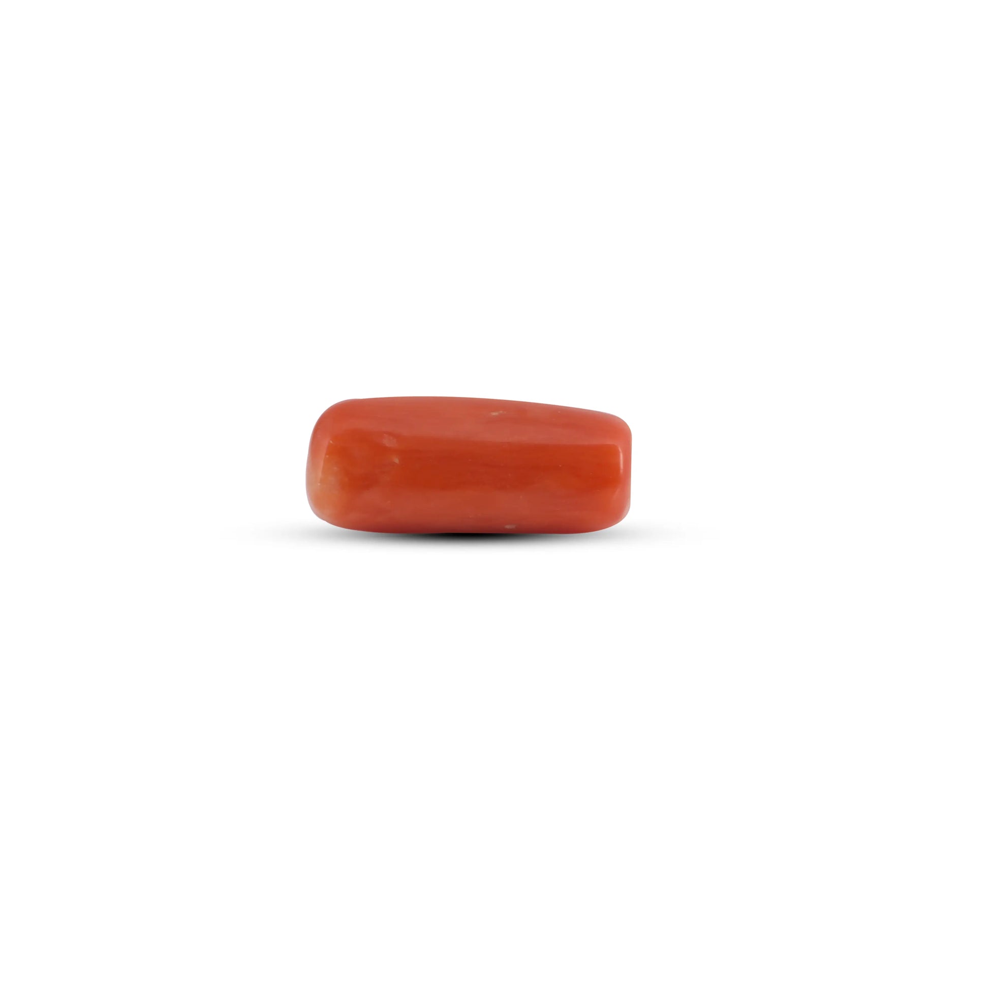 Red Coral - 3.75 Carat