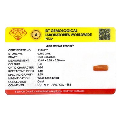 Red Coral - 3.75 Carat