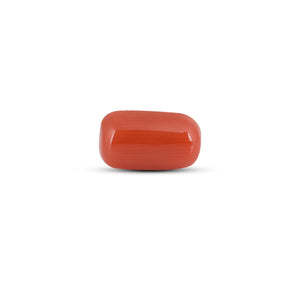 Red Coral - 3.6 Carat