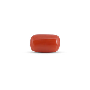 Red Coral - 3.6 Carat