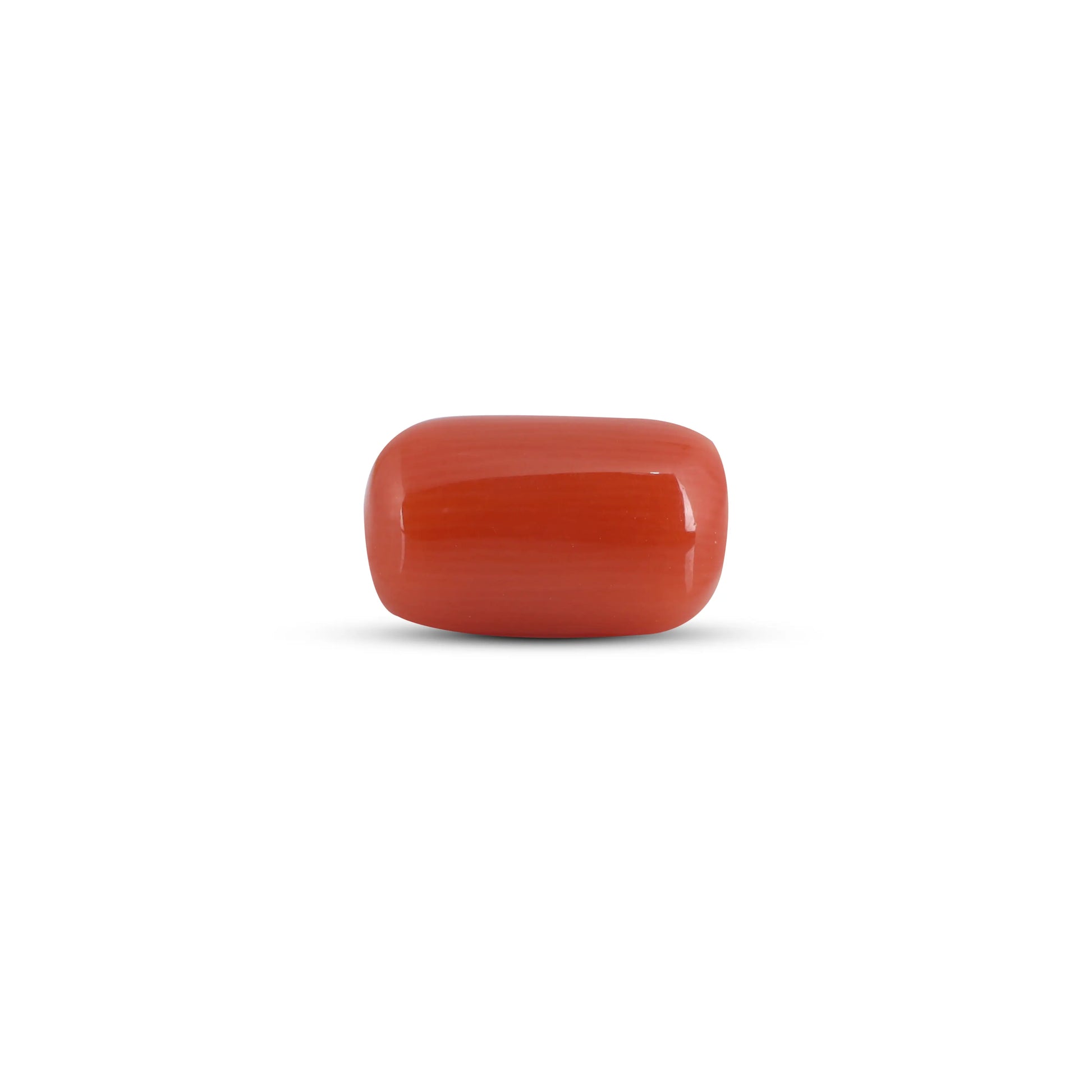 Red Coral - 3.6 Carat