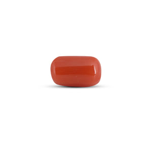 Red Coral - 3.6 Carat