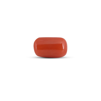 Red Coral - 3.6 Carat
