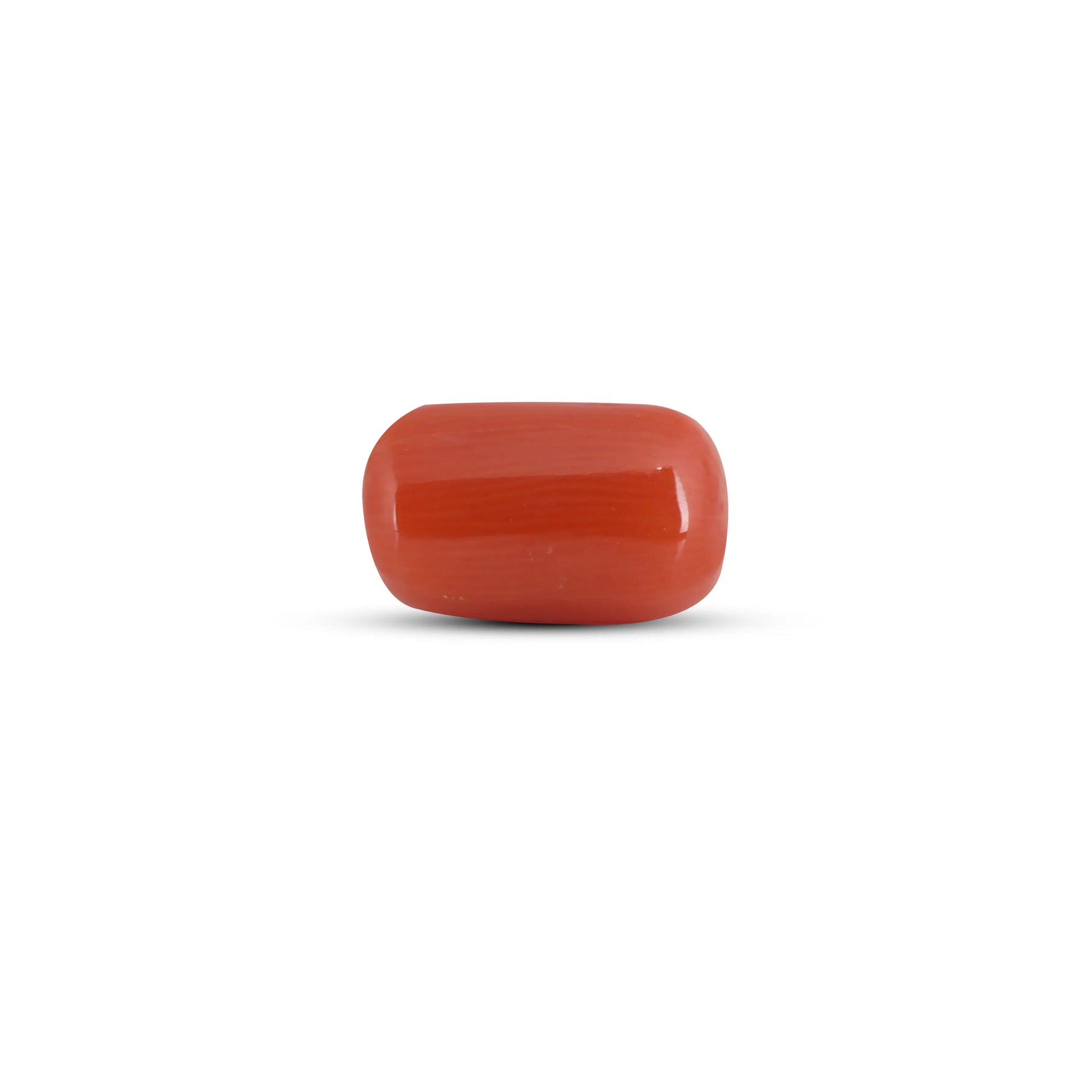 Red Coral - 3.6 Carat