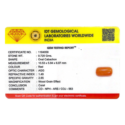 Red Coral - 3.6 Carat