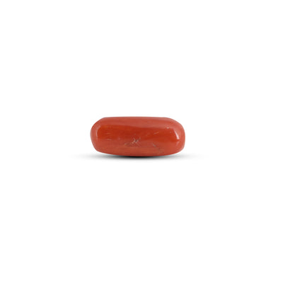 Red Coral - 3.7 Carat
