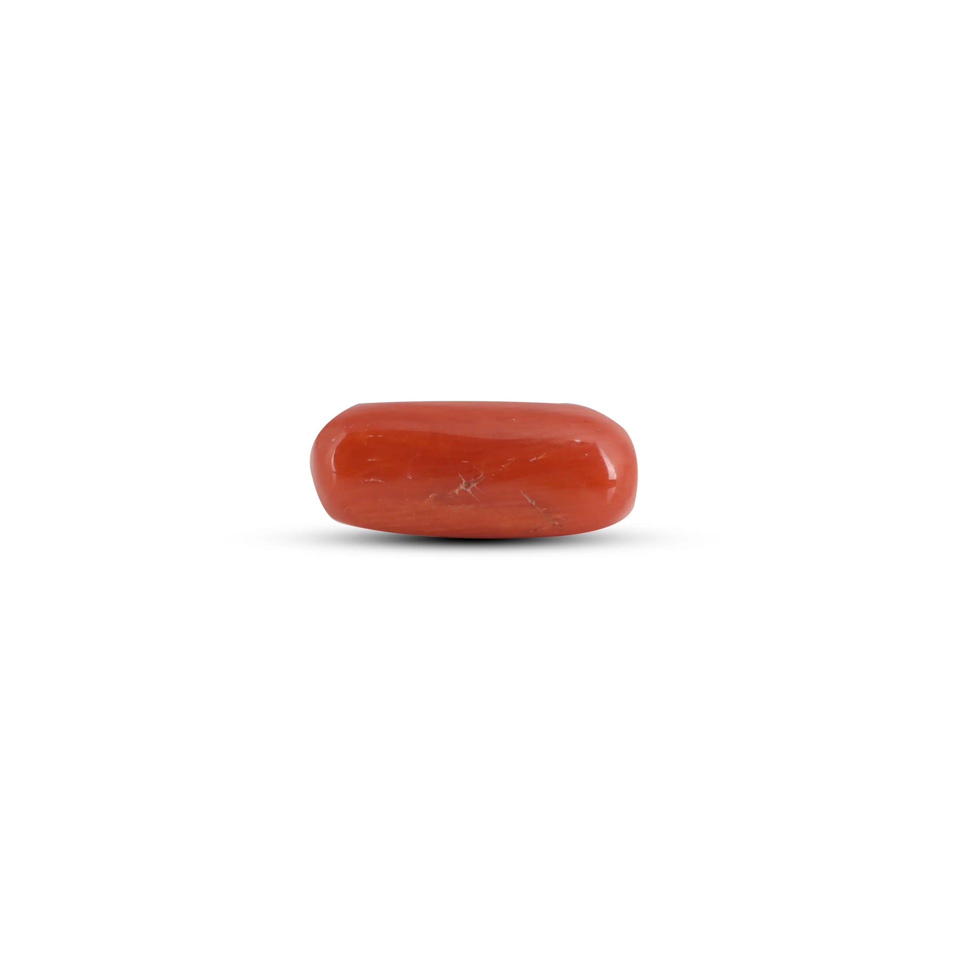 Red Coral - 3.7 Carat