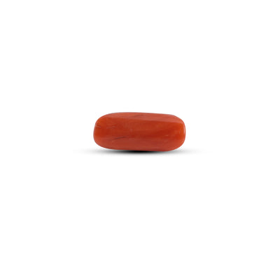 Red Coral - 3.7 Carat
