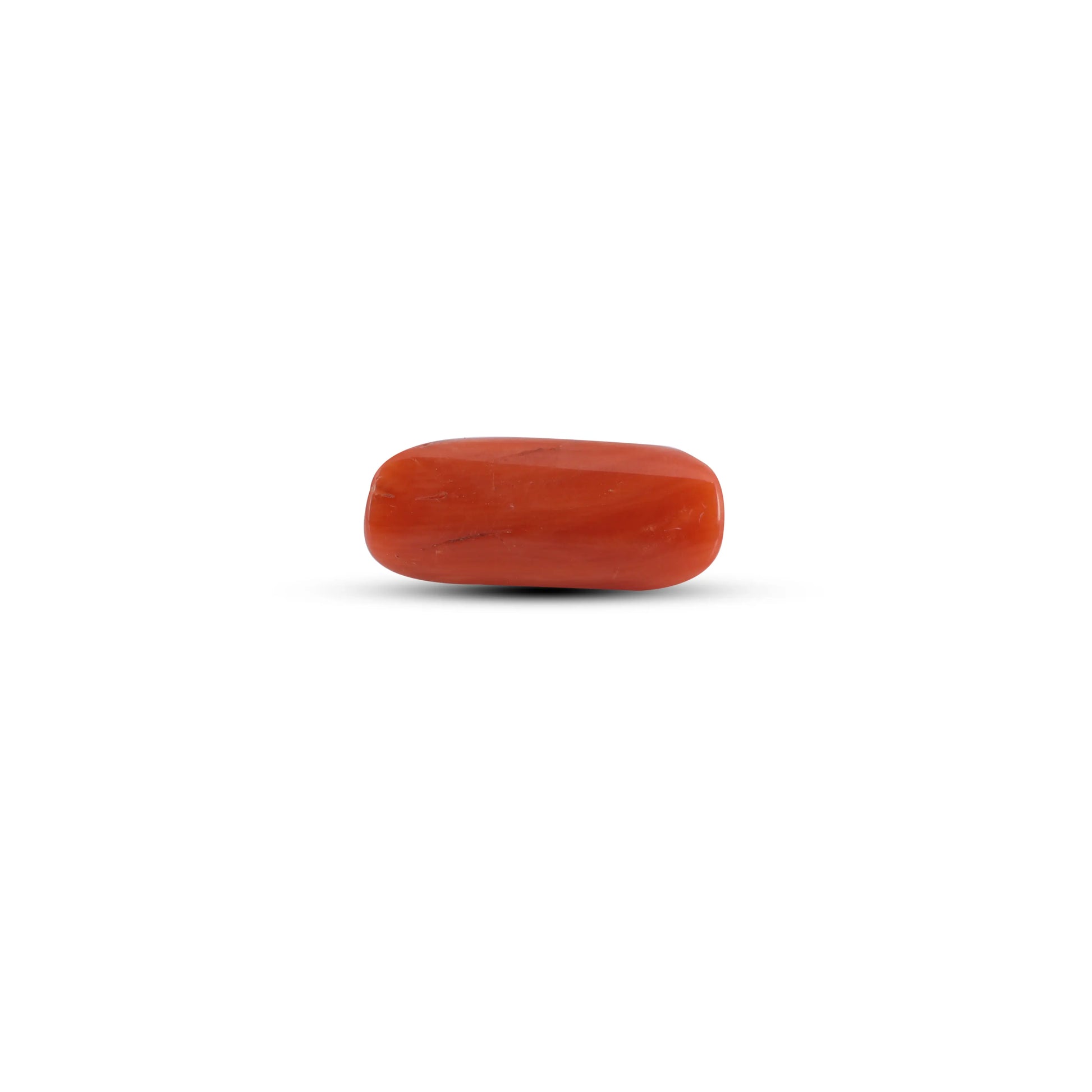 Red Coral - 3.7 Carat
