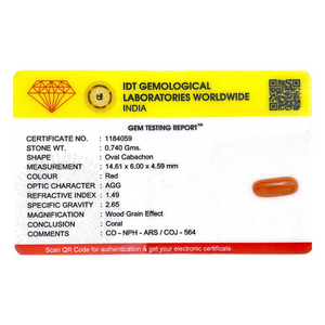 Red Coral - 3.7 Carat