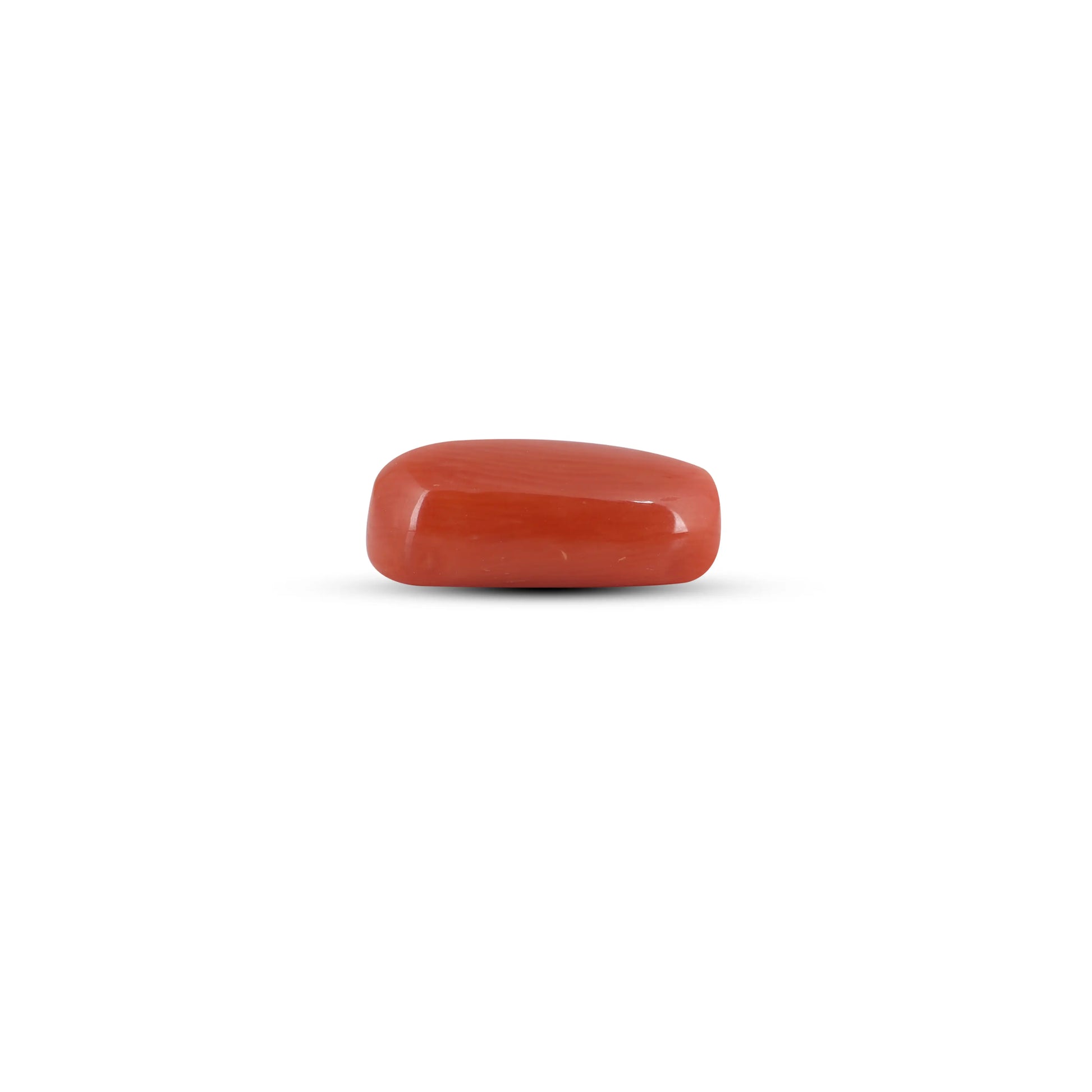 Red Coral - 3.7 Carat