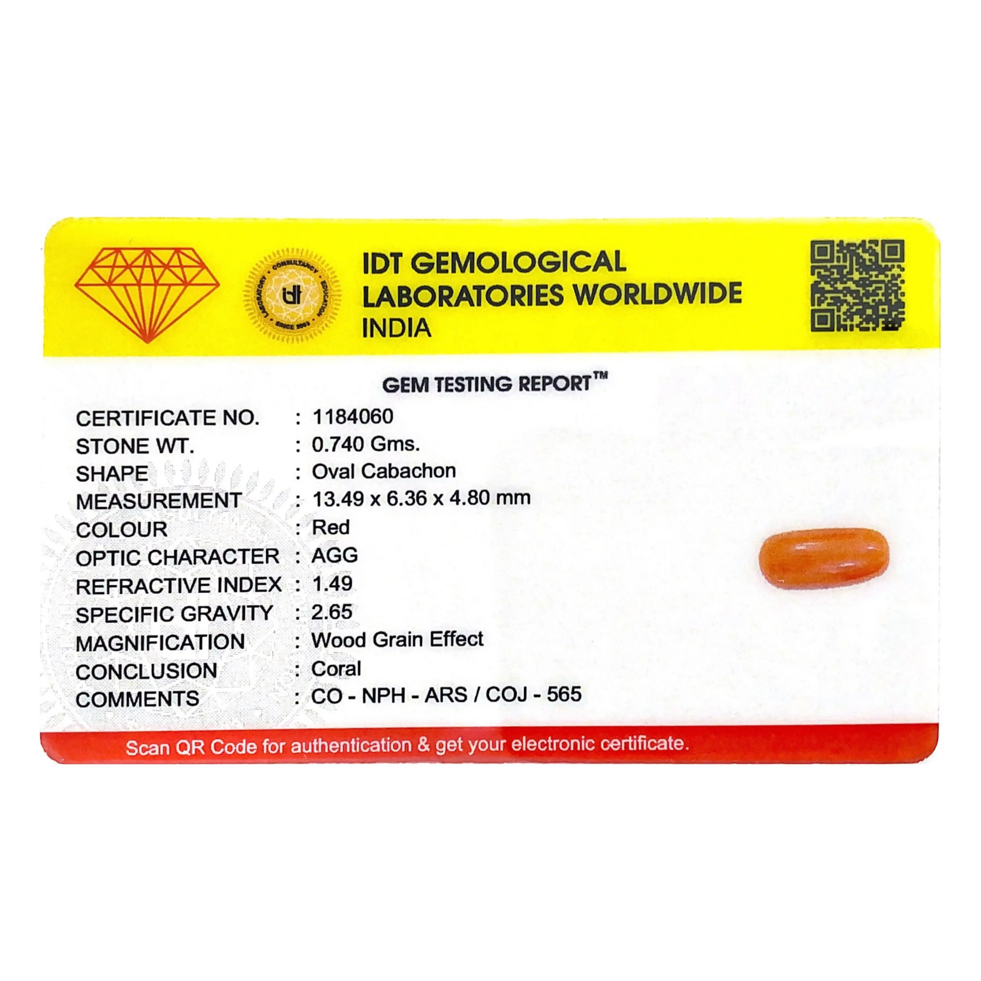 Red Coral - 3.7 Carat